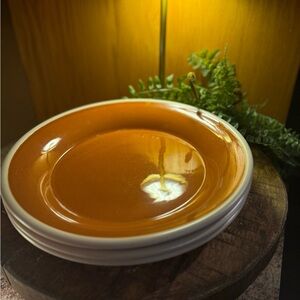 Sonoma Life + Style Mendocino Russet Ceramic Dinner Plates Set of (3) 11" Round